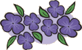 color_flower133.gif