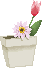 vcolor_flower142.gif