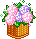 17.gif