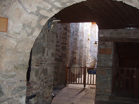 P1010085.JPG