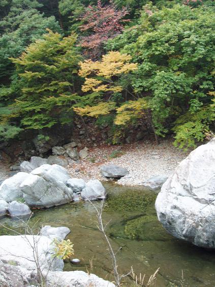 ulleungdo 010.jpg