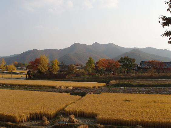 2009 fall korea 044.jpg