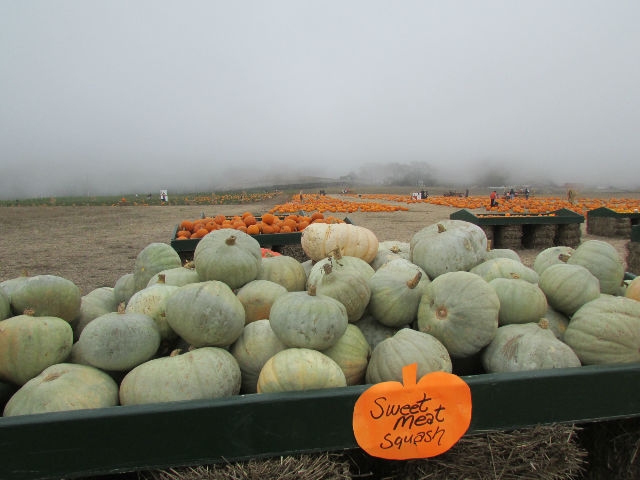photo 26.jpg