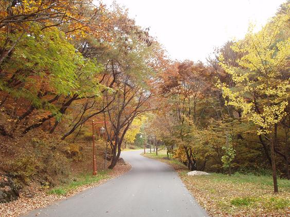 2009 fall korea 002.jpg