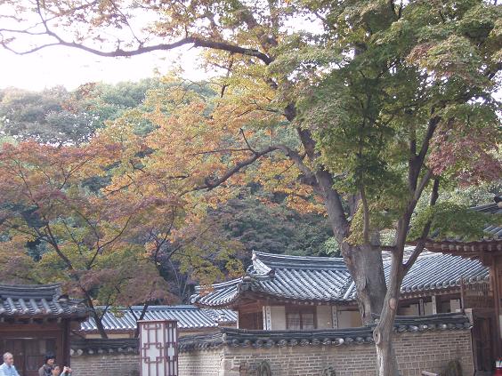 2009 fall korea 041.jpg