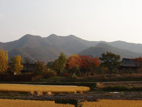 2009 fall korea 046.jpg