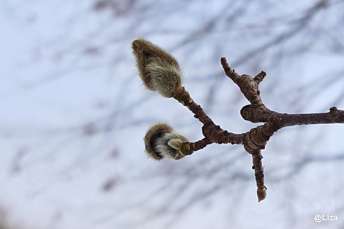 P1020427.JPG