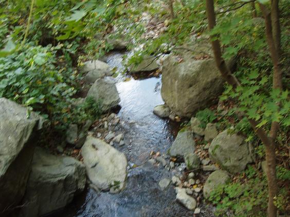 ulleungdo 027.jpg ulleungdo 027.jpg