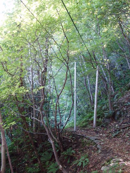ulleungdo 026.jpg