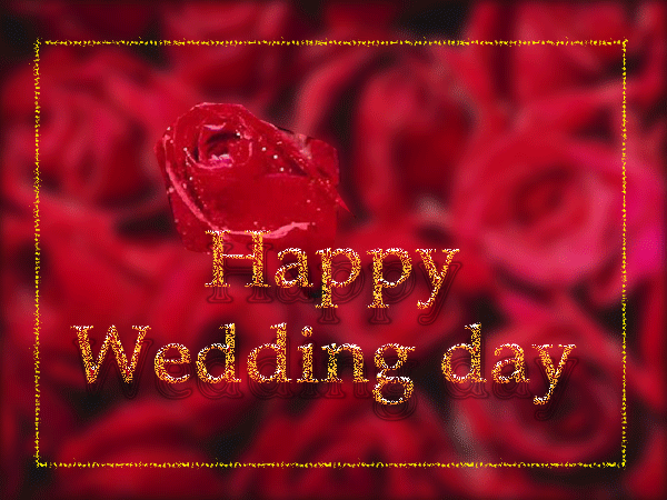 wedding_anne.gif