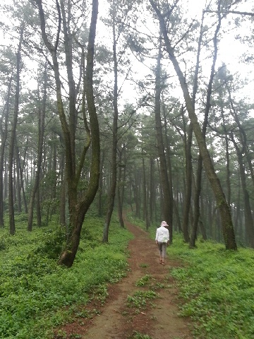 20130805_174124.jpg