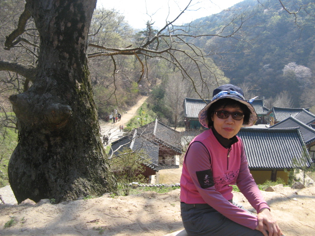 jeju 603.jpg