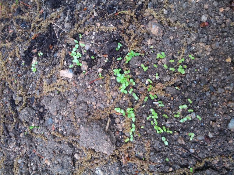 20150503_070715.jpg