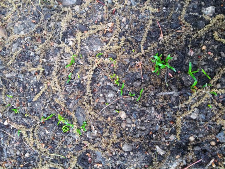 20150503_070721.jpg