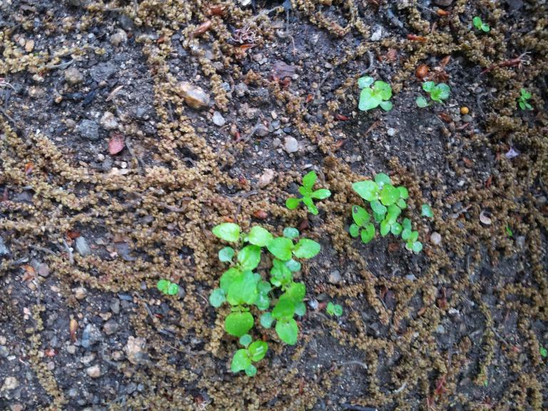 20150503_070732.jpg