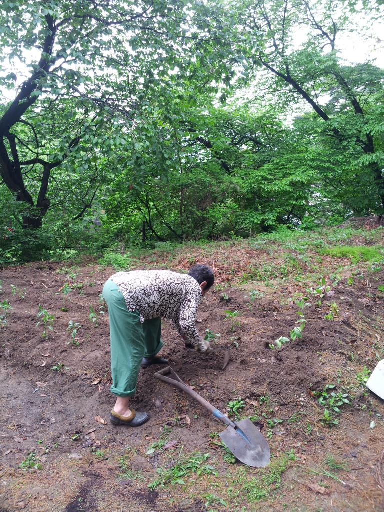 20150503_075750.jpg