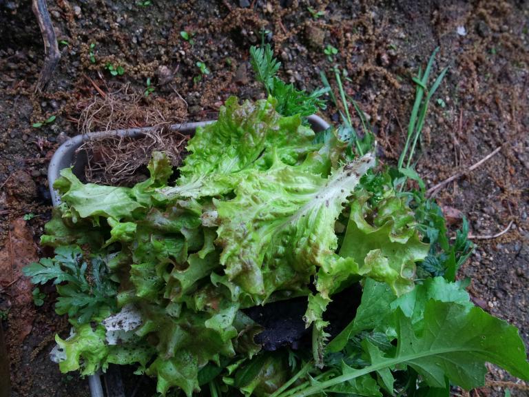 20150503_075801.jpg