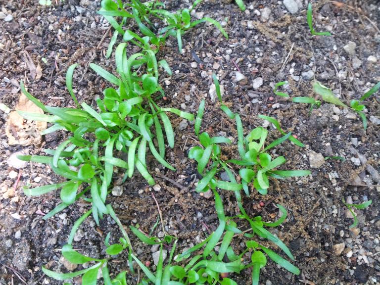 20150516_100442.jpg