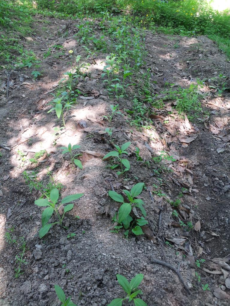 20150516_100604.jpg