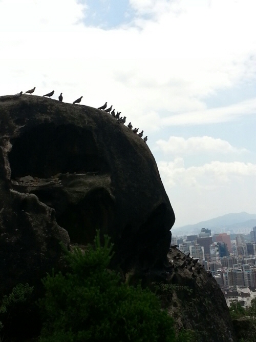 크기변환_1466848522668.jpeg 크기변환_1466848522668.jpeg