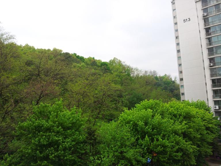 20150502_114246.jpg