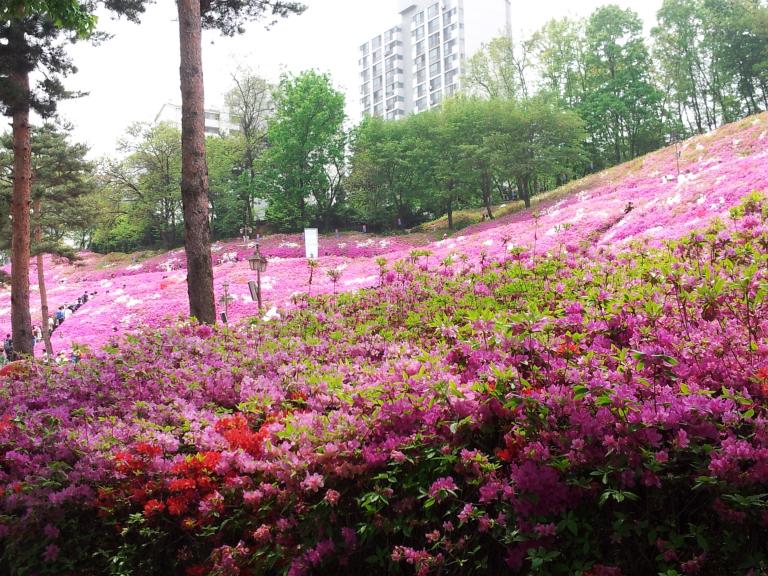 20150502_130016.jpg