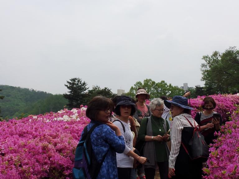 20150502_130321.jpg