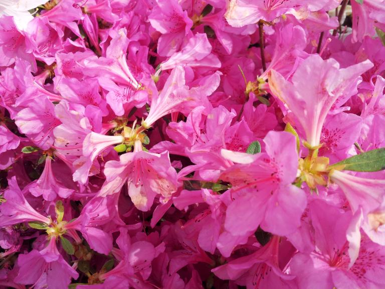 20150502_130538.jpg