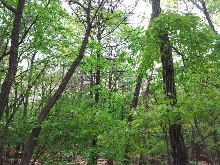 20150502_133637.jpg