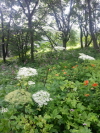 크기변환_크기변환_20140730_084844.jpg 크기변환_크기변환_20140730_084844.jpg