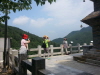 크기변환_크기변환_20140730_101121.jpg 크기변환_크기변환_20140730_101121.jpg