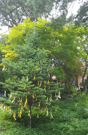 성당3.jpg