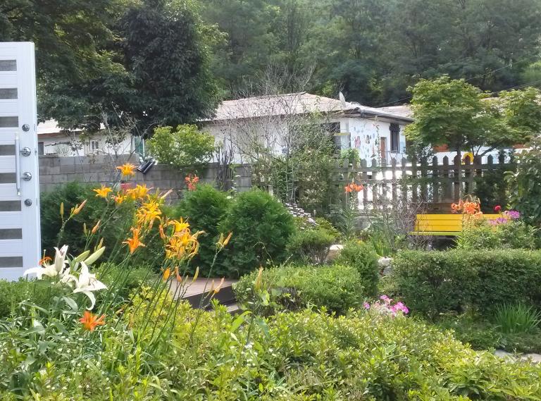 CAM00270.jpg