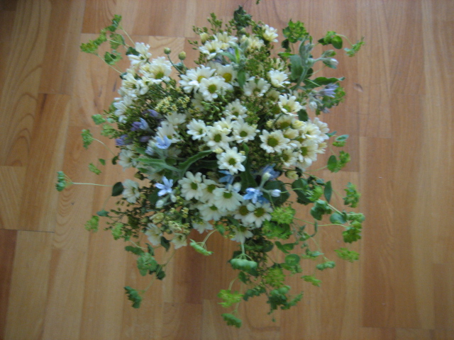 사진 003.jpg