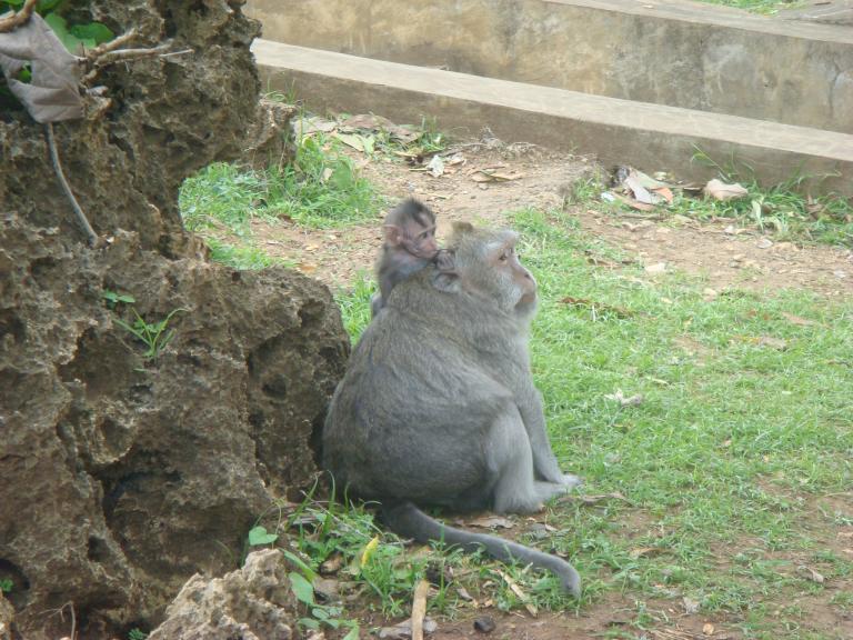 DSC04885.JPG