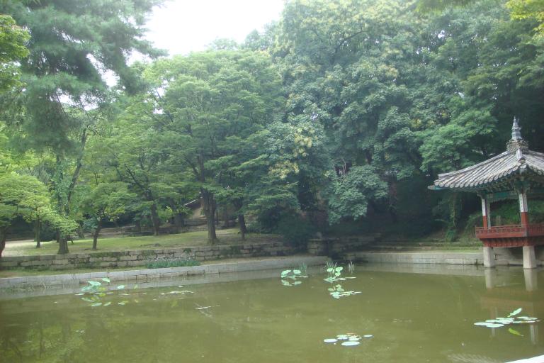 DSC05743.JPG