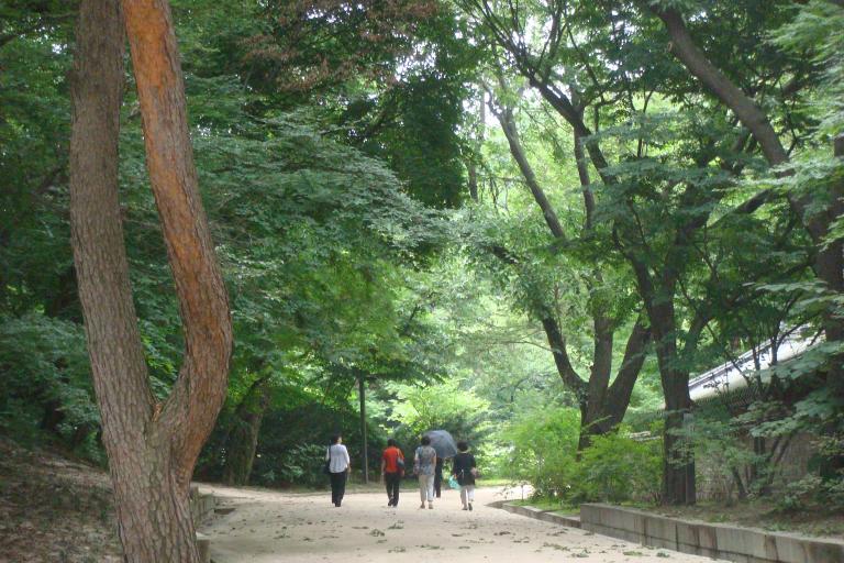 DSC05745.JPG