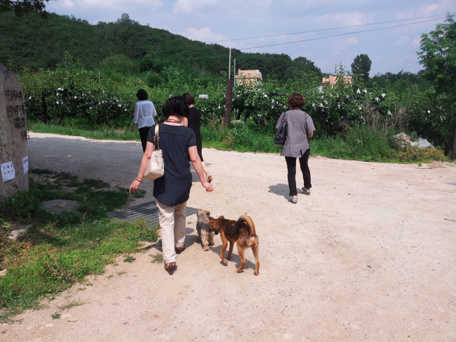 20150704_143447.png