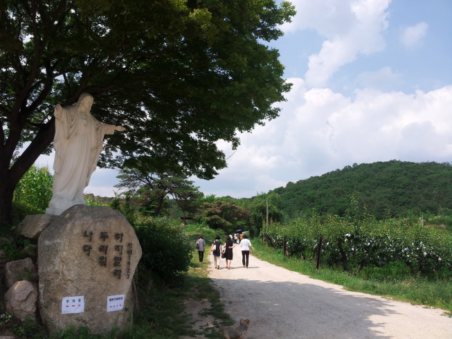 20150704_143512.png