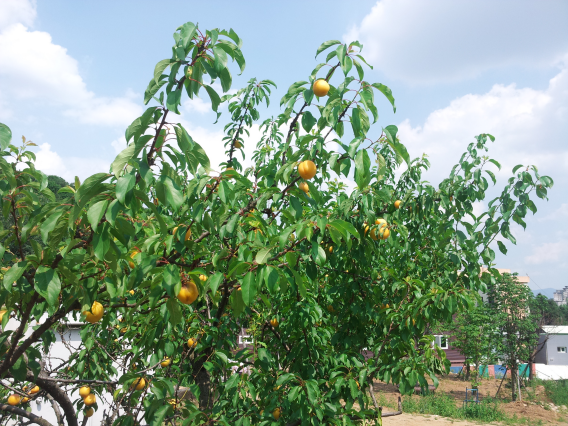20150704_143751.png