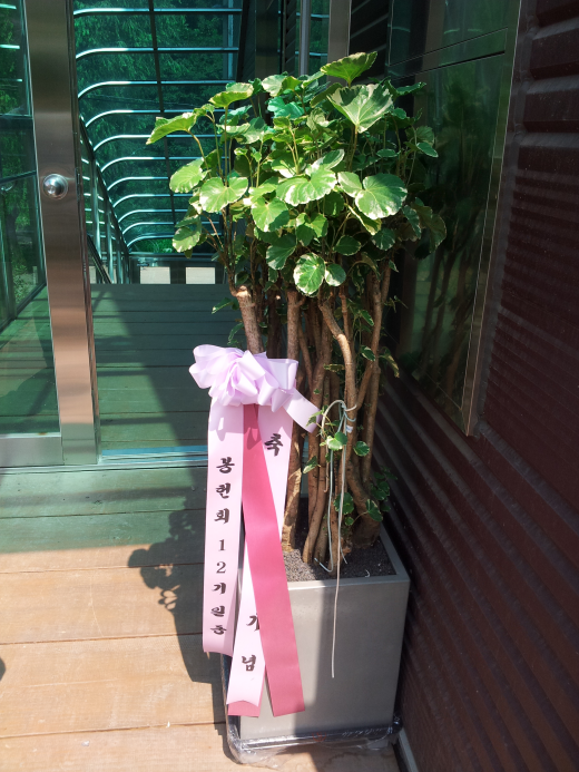 20150704_143844.png