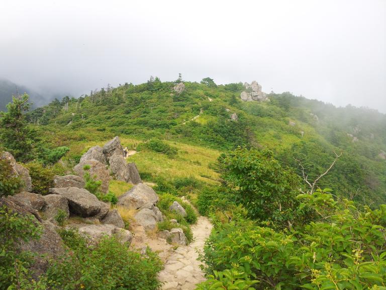 20150805_162633.jpg
