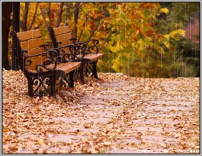 color_rain17.gif