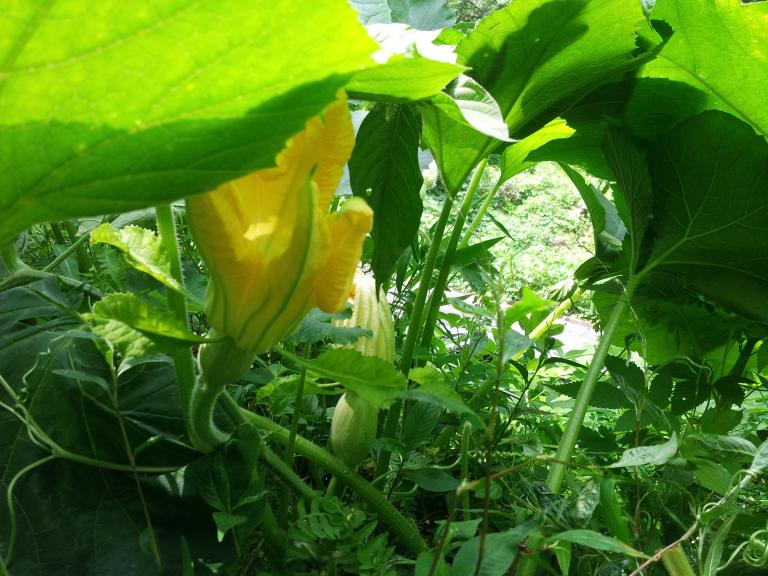 20150823_121512.jpg