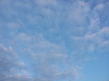 20120627_192004.jpg