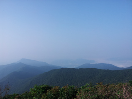 20120731_073805.jpg