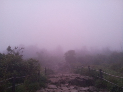 20120802_052807.jpg