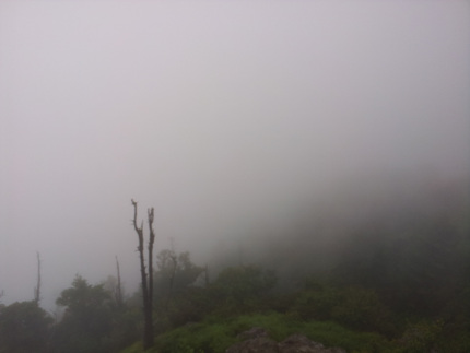 20120802_065450.jpg