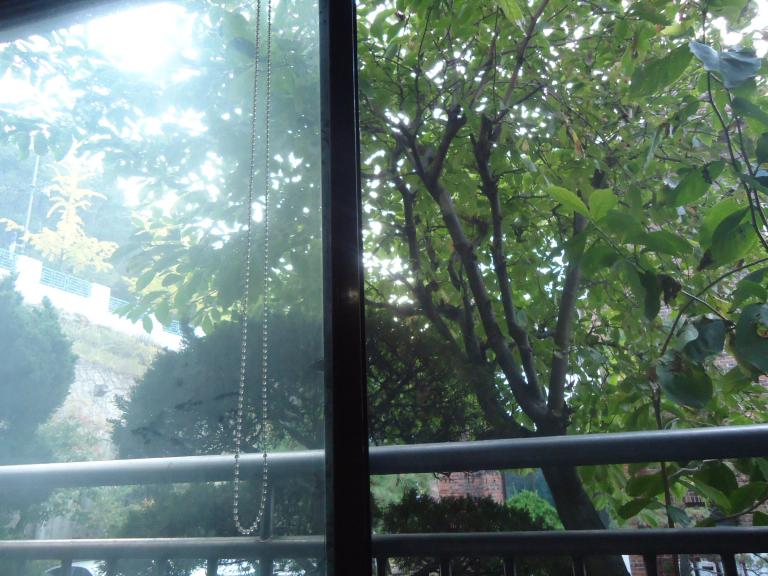 DSC03473.JPG