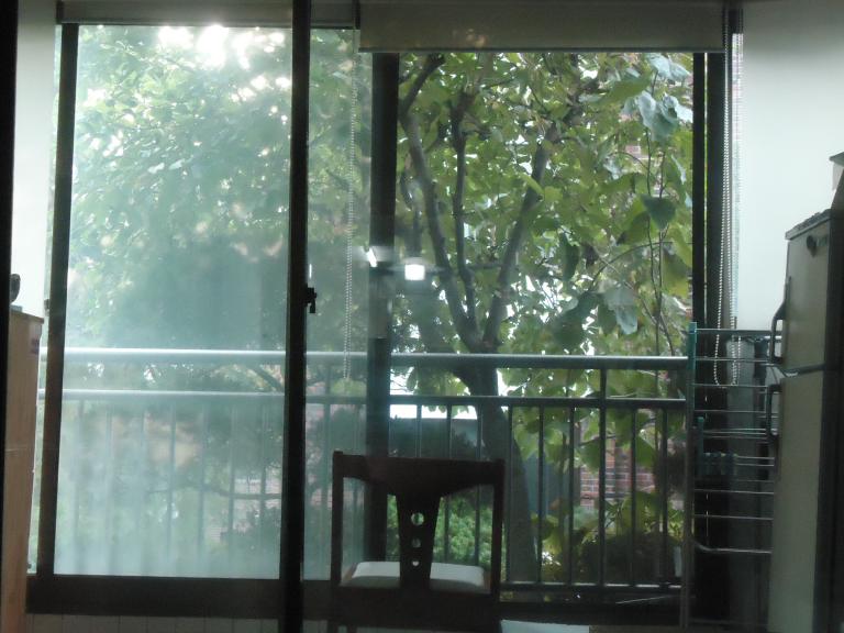 DSC03477.JPG